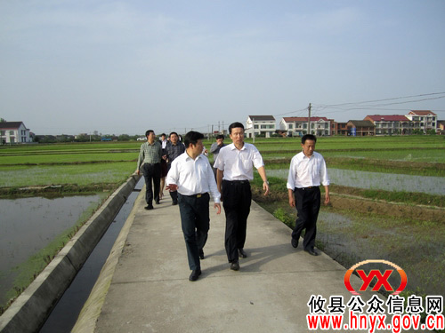 佛山市市长刘悦伦回家乡新市镇考察