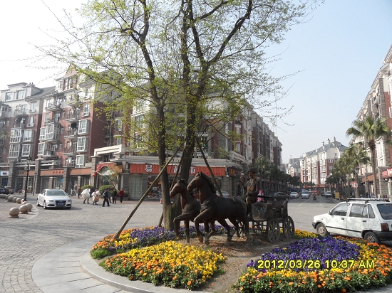 刘玉平率队成都、海南两地考察学习征拆经验/组图