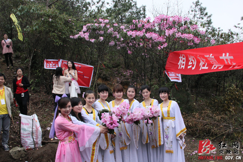 炎陵杜鹃花怒放 天下＂驴友＂慕名来