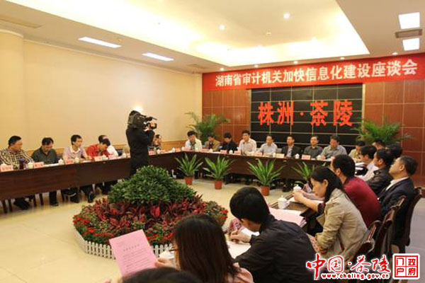 全省审计机关加快信息化建设座谈会在我县召开