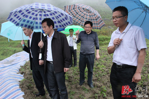 刘正平冒雨视察地质灾害防治工作