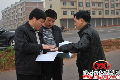 市人口计生委党组书记、主任汤少云视察攸县计生技术服务大楼建设项目