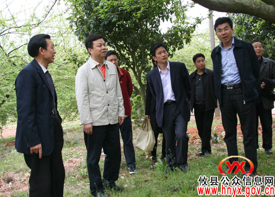 胡湘之一行到大同桥镇、新市镇督查春耕生产、春季造林和水利建设工作