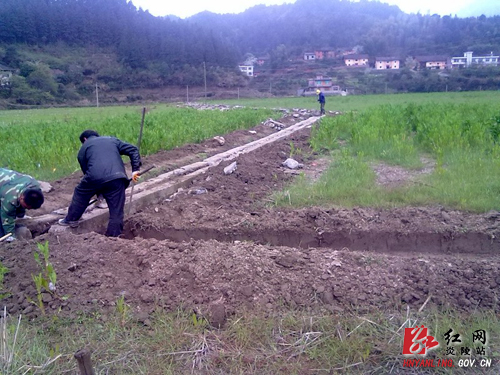 沔渡镇：忙修水圳备春耕