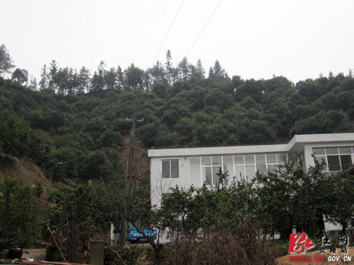 【记者走基层】新时代的农民 水果状元＂阿牛＂