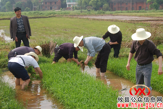 【结对共建】攸县文体广新局深入结对村参加春耕生产劳动