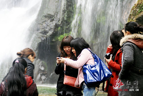 采香菇 摘野菜 包艾叶米粿 神农谷＂清明踏青游＂受追捧