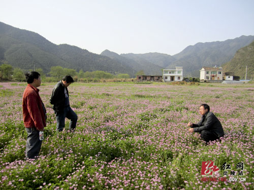 县乡联动 项目攻坚