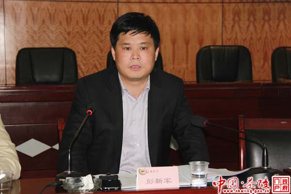 茶陵召开一季度全县经济形势分析会议