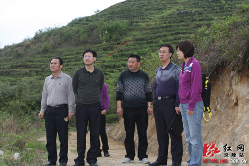 国家民政部领导到大院农场开展罗霄山片区县地区扶贫开发调研