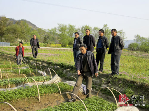 县乡联动 项目攻坚