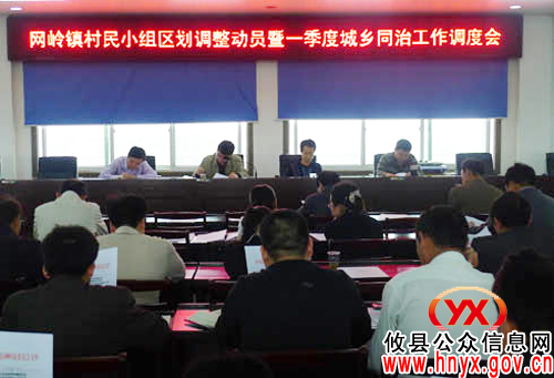攸县网岭镇召开村民小组区划调整暨一季度城乡同治调度会