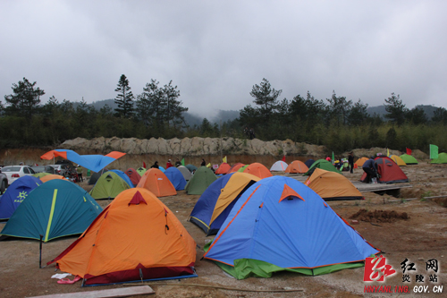 炎陵杜鹃花怒放 天下＂驴友＂慕名来