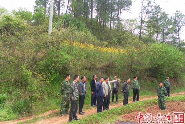 茶陵县各乡镇多措并举严防清明山火