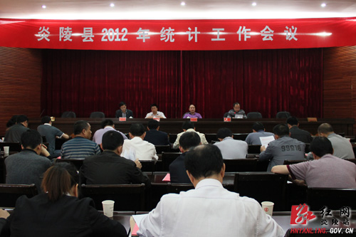 全县统计工作会议召开