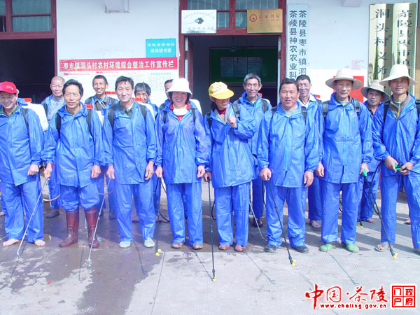 茶陵县扎实推进病虫害专业化统防统治工作