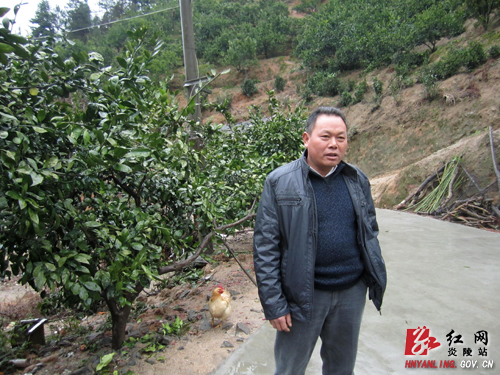 【记者走基层】新时代的农民 水果状元＂阿牛＂