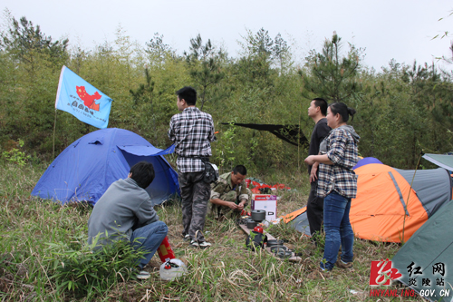 炎陵杜鹃花怒放 天下＂驴友＂慕名来