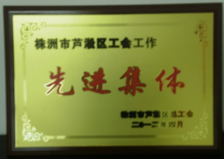 芦淞区城管大队被评为“芦淞区工会工作先进集体”