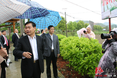 稳价惠民 造福湖湘 全省物价系统祭祀炎帝