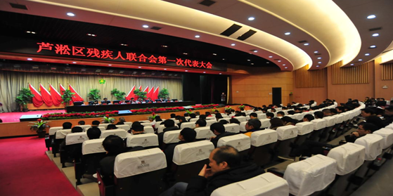 芦淞区残疾人联合会第一次代表大会胜利召开