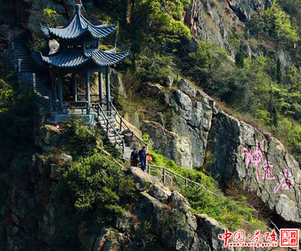 参与新八景评选是为了培养和增加对犀城的情感
