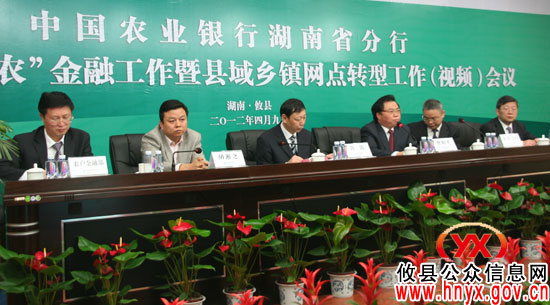 中国农业银行湖南省分行三农金融工作会议在攸县召开
