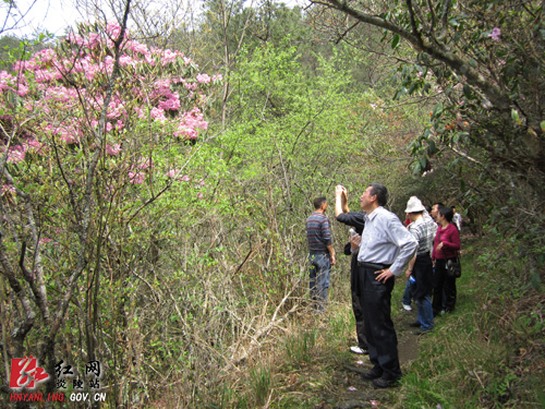 县人大常委会领导到大院农场调研指导工作