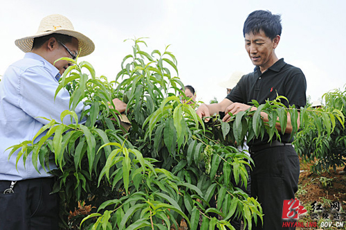 我县开展科技活动周活动