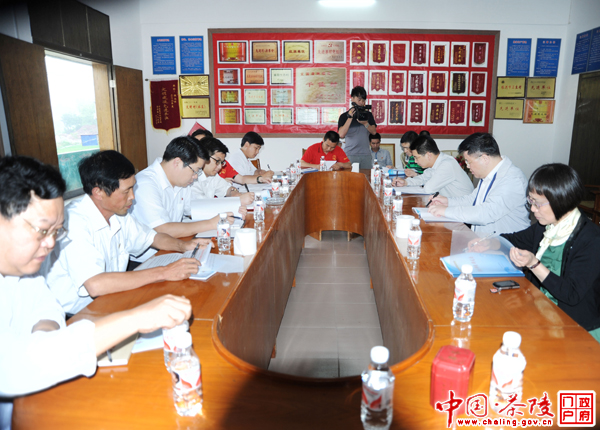 市委常委、组织部长徐文龙到茶陵调研