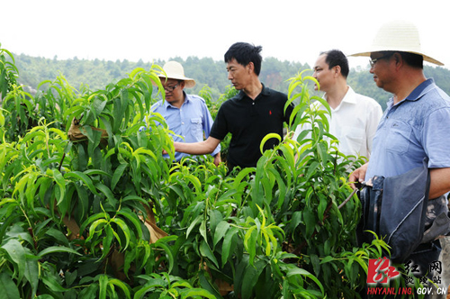 我县开展科技活动周活动