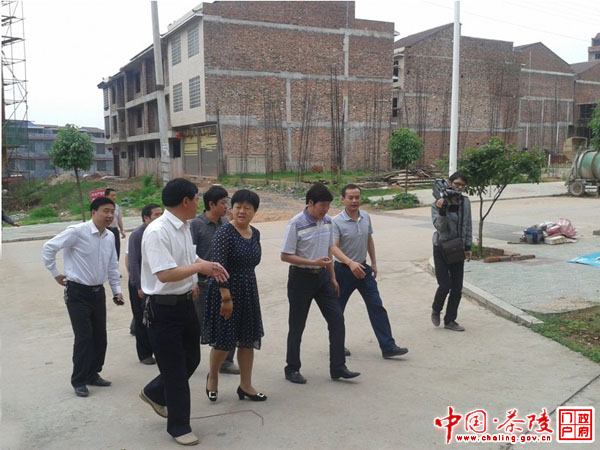 市人大常委会副主任鲁立彬一行到我县视察移民搬迁安置工作