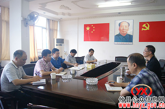 胡湘之到新市镇、大同桥镇视察指导工作