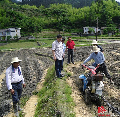 十都镇：做好“领头雁”，深化驻村工作实效