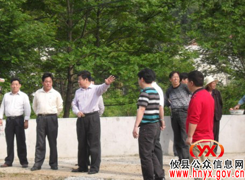 邝邹飞率队深入鸾山镇调研指导工作