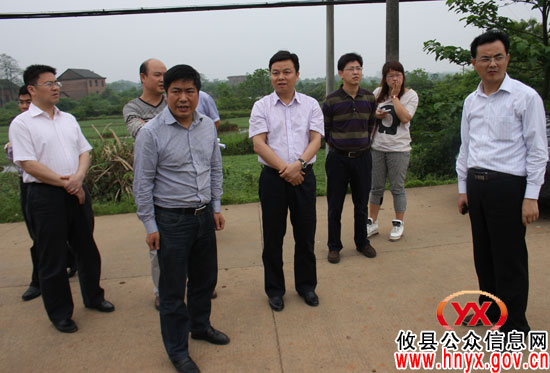 胡湘之率队到莲塘坳镇现场办公 提出“一二三四五”的要求