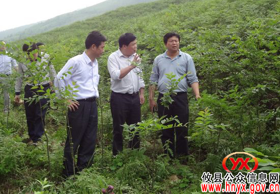 省林业厅外资办主任李书明一行到攸县黄丰桥国有林场考察