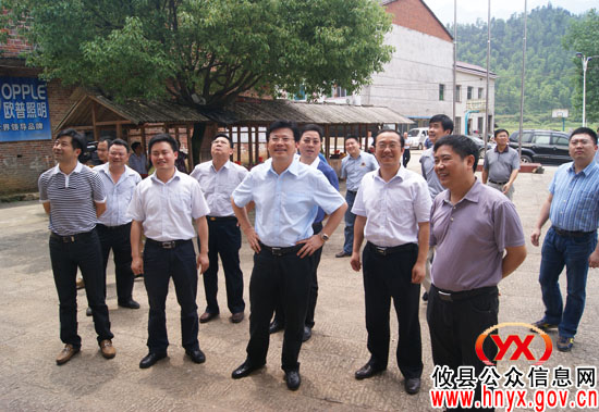 市委常委、市纪委书记龚凤祥到攸县阳升观村视察指导工作