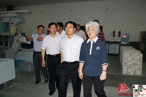 湖南省省级工业集中区发展规划评审团一行来炎陵考察评审