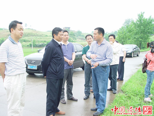 李志纯副厅长深入茶陵县指导粮食生产工作
