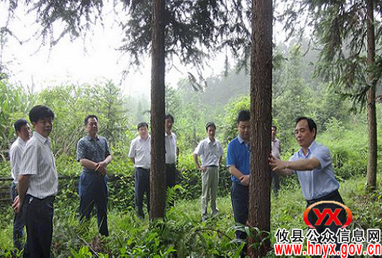 省林业厅纪检组长王鹰柏一行来攸县考察国有林和森林公园建设工作