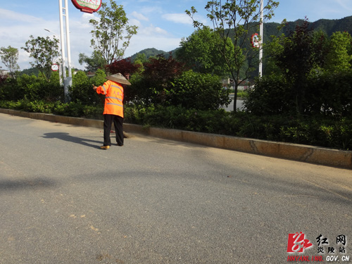 九龙社会事务管理局：勤力打造美丽炎陵门户第一站