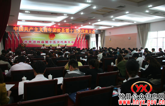 共青团攸县第十五次代表大会预备会议胜利召开