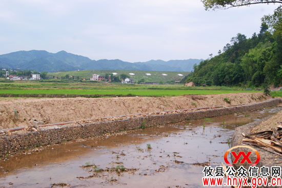 贺新国视察皮佳如水库泄洪渠建设情况