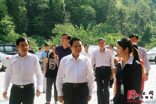 省人大常委会副主任杨泰波来炎考察调研