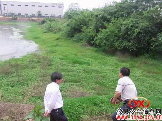 攸县林业局依法整治诱捕野生鸟类行为
