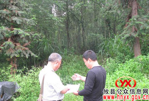 国家林业局专家对攸县退耕还林工程进行阶段验收