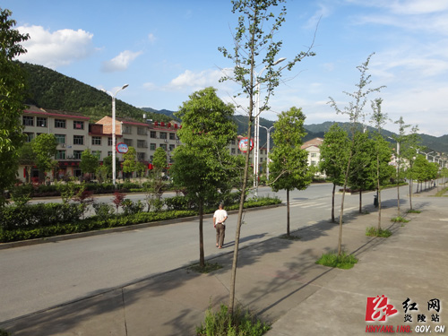 九龙社会事务管理局：勤力打造美丽炎陵门户第一站