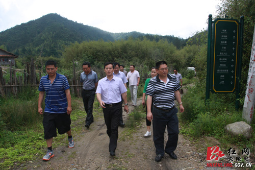 刘正平专题调研梨树洲旅游产业发展
