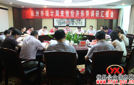 市统计局局长丁润高来攸县调研经济形势工作